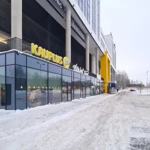 A. H. Tammsaare tee 92