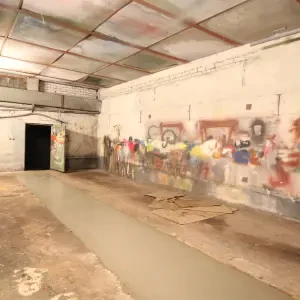 Vae 3c