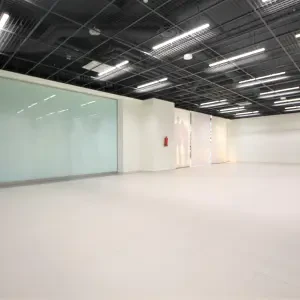 Tuulemaa tn 20