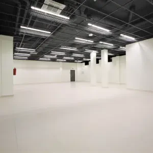 Tuulemaa tn 20
