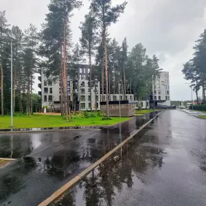 Mäepealse tn 31