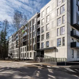 Mäepealse tn 31
