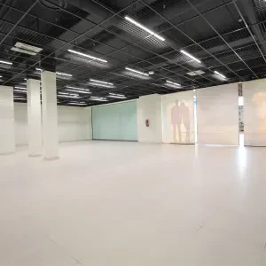 Tuulemaa tn 20