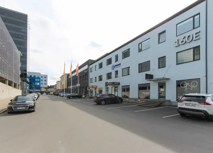 Pärnu mnt 160E