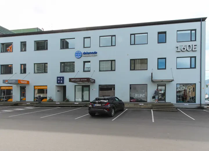 Pärnu mnt 160E