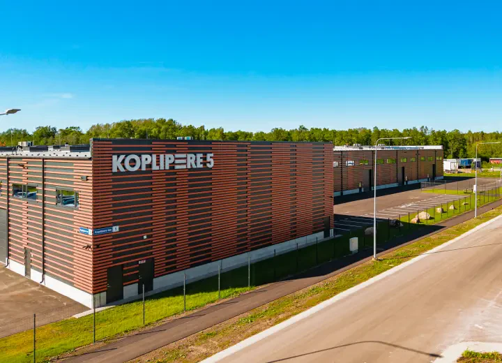 Koplipere tee 5