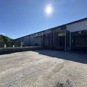 Juuliku tee 3